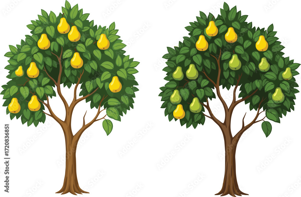 Fototapeta premium Cartoon pear trees with green leaves and yellow fruits showing growth variation, fruit quantity, and botanical diversity for educational vector use