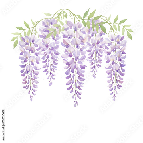 A graceful watercolor illustration of cascading wisteria flowers in soft purple hues with light green leaves
