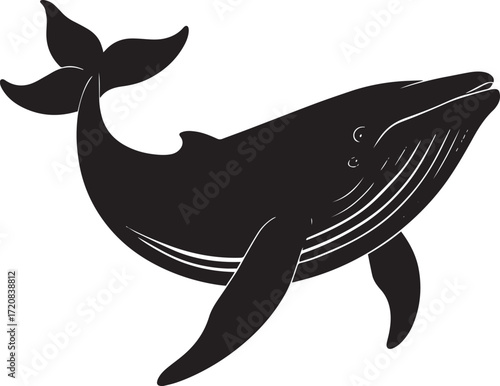  Ocean Whale Silhouette Vector Illustration
