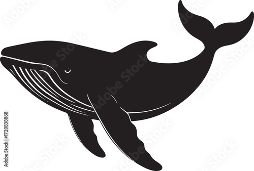  Ocean Whale Silhouette Vector Illustration