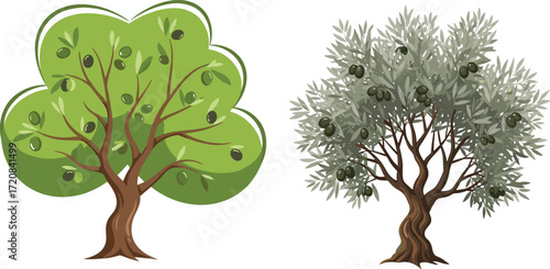 Olive trees with green and silvery foliage, black olives, botanical illustration for agriculture, nature design, garden decor, and food concept