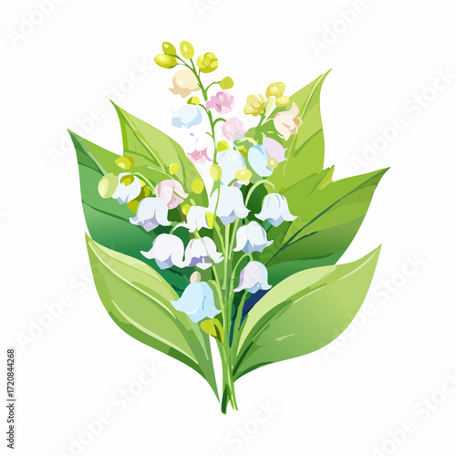 Lily of the valley
2