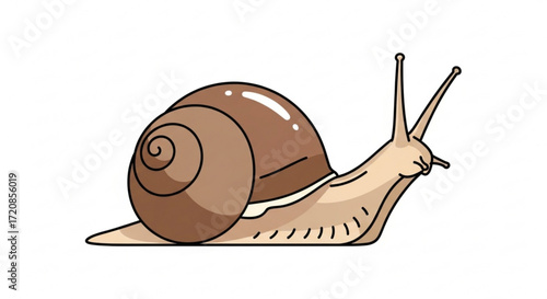 Cute snail vector illustration for kids and snail lovers perfect for educational and creative projects