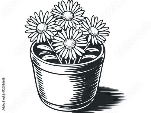 Daisies in a Pot. Vector hand drawn illustration