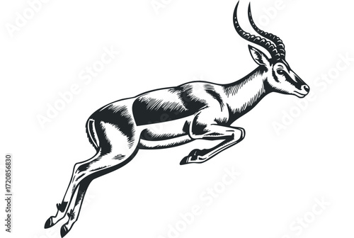 Gazelle animal leaping motion graphic on transparent background. Vector hand drawn illustration