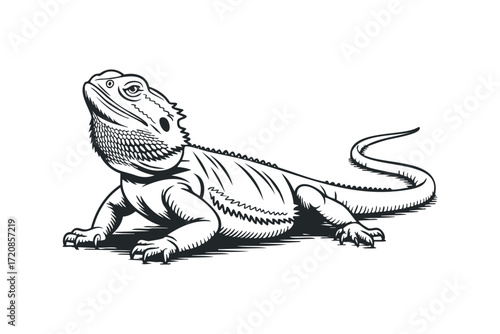 Bearded Dragon Reptile Silhouette on Transparent. Vector hand drawn illustration