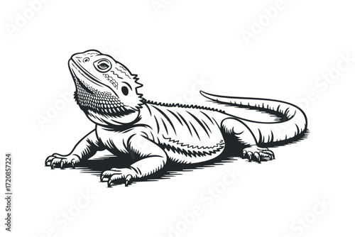 Bearded Dragon Reptile on Transparent Background. Vector hand drawn illustration