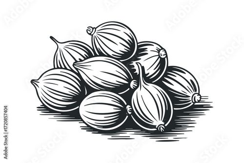 Pile of cardamom pods on transparent background. Vector hand drawn illustration