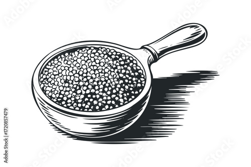 Wooden scoop filled with grain on transparent background. Vector hand drawn illustration