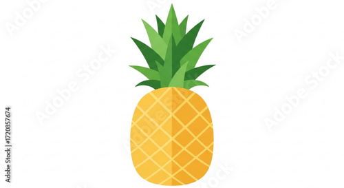 Pineapple fruit tropical summer healthy food nutrition vitamin c exotic sweet fresh delicious vector illustration
