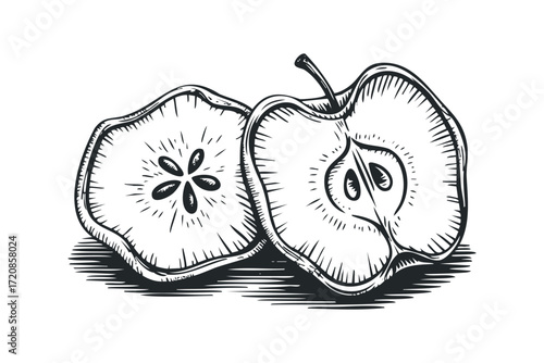 Hand drawn apple halves cut and whole on transparent background. Vector hand drawn illustration