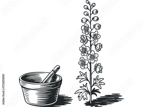 Line drawing of flowering plant and mortar and pestle. Vector hand drawn illustration