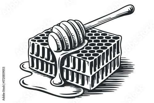 Honeycomb with dripping honey and dipper. Vector hand drawn illustration