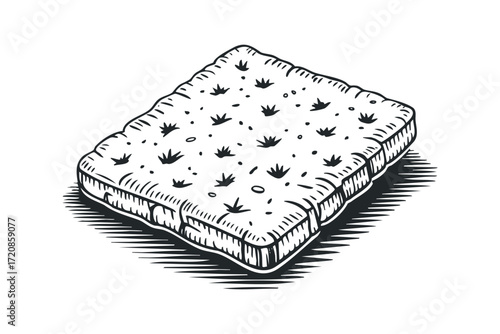 Cracker biscuit with grass texture. Vector hand drawn illustration