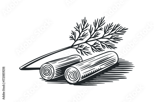 Two dill sprigs and two cut celery stalks. Vector hand drawn illustration