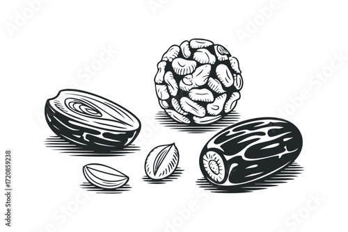 Group of dried dates illustration on transparent background. Vector hand drawn illustration