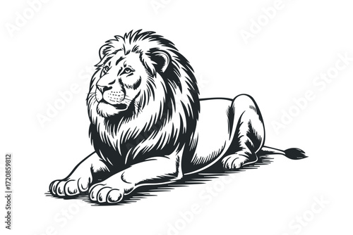 Majestic lion resting on transparent background. Vector hand drawn illustration