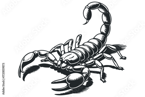 Scorpion Stylized Silhouette On White Background. Vector hand drawn illustration