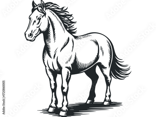Majestic Black Horse Standing Still. Vector hand drawn illustration