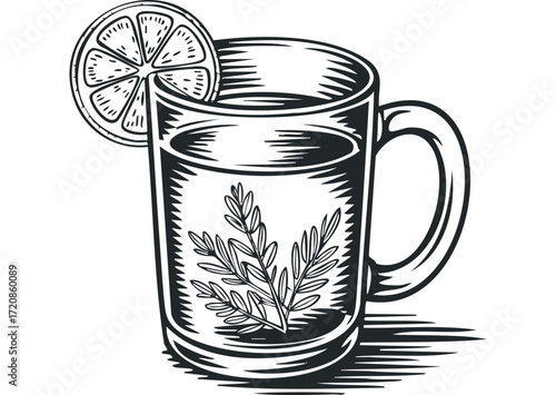 Glass of Water with Lemon Slice and Herb. Vector hand drawn illustration