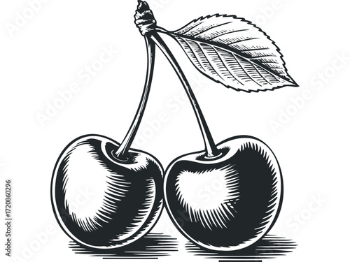 Wallpaper Mural Woodcut Style Cherry Pair With Stem and Leaf. Vector hand drawn illustration Torontodigital.ca