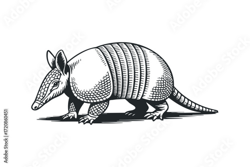 Armadillo creature walking on white background. Vector hand drawn illustration