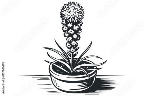 Tall potted flower with spiky leaves and striped pot. Vector hand drawn illustration