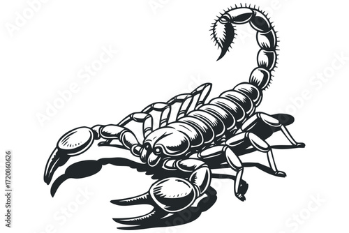 Scorpion Silhouette With Curled Tail And Pincers. Vector hand drawn illustration