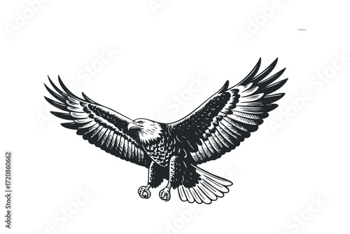 Eagle with wings spread in mid-flight. Vector hand drawn illustration