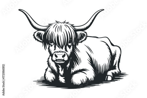 Scottish Highland Cow Relaxing in a Field. Vector hand drawn illustration
