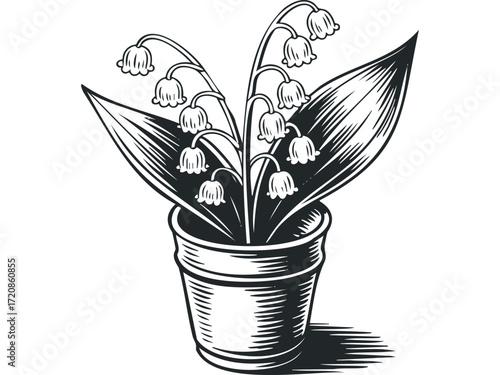 Lily of the valley flowers in a pot with leaves. Vector hand drawn illustration