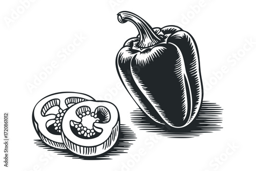 Woodcut Style Bell Pepper and Slices. Vector hand drawn illustration