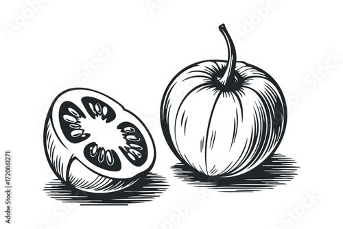 Whole and sliced tomato with visible seeds and pulp. Vector hand drawn illustration