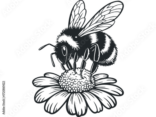 Black and white drawing of a fuzzy bee collecting nectar from a flower. Vector hand drawn illustration