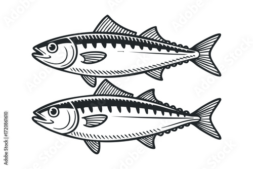 Two Black and White Mackerel Fish. Vector hand drawn illustration