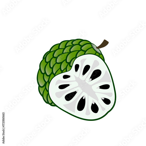 Sugar apple fruit vector illustration