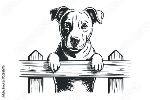 Dog peeking over wooden fence. Vector hand drawn illustration