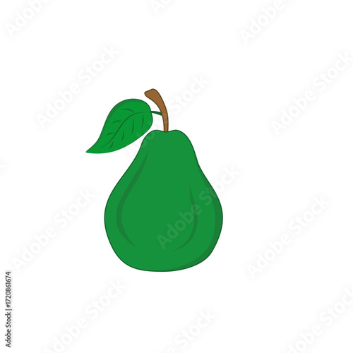 Guava fruit illustration