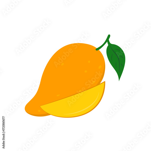 Mango fruit vector illustration