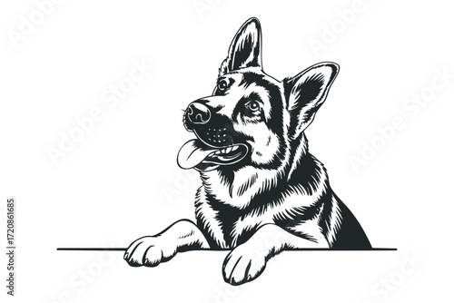 Black and White German Shepherd Dog Looking Up. Vector hand drawn illustration