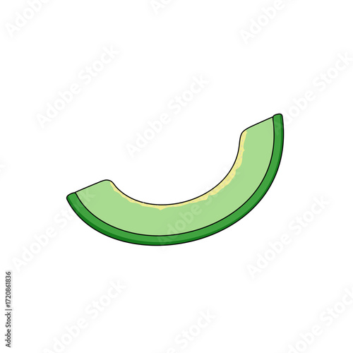 Melon fruit slice illustration