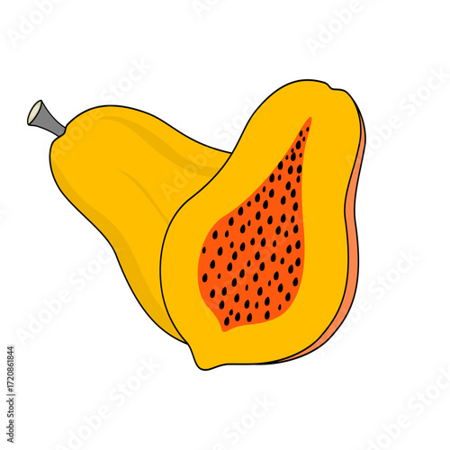 Papaya fruit slice illustration