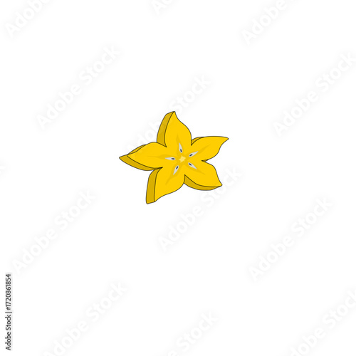 Star fruit slice illustration