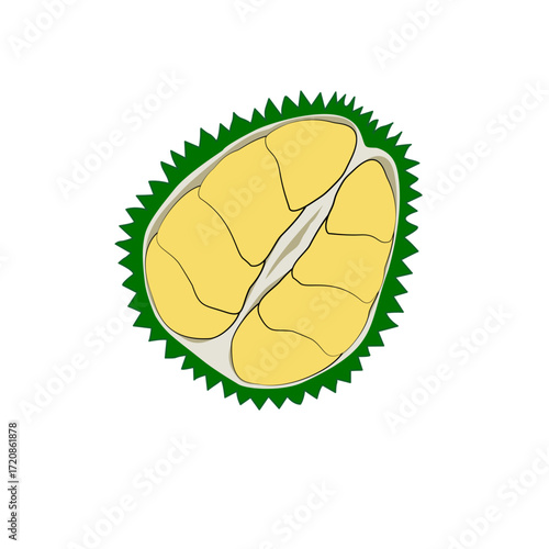 Durian fruit slice illustration