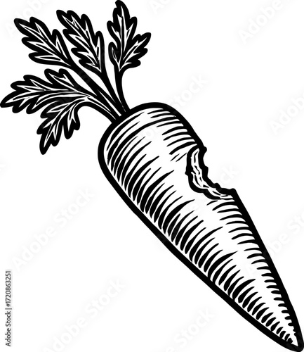 A black and white illustration of a carrot with a visible bite mark. The drawing is detailed and the carrot has green leaves.