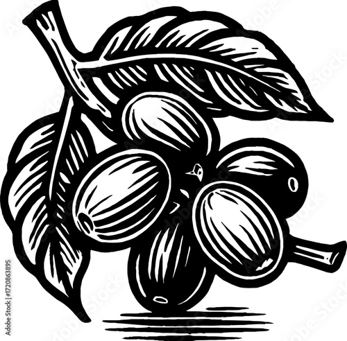 A detailed monochrome vector illustration shows coffee beans and leaves. Bold outlines define the natural shapes against a plain white background. It's a decorative graphic art.