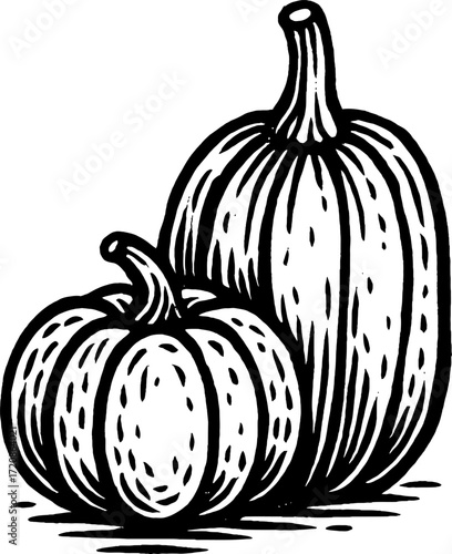 A monochrome illustration showcases two pumpkins of different sizes, characterized by distinct vertical stripes, capturing the essence of autumn harvest.