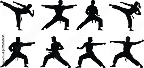 Karate silhouette illustration, martial arts pose, male and female fighter, kicking stance, self defense movement, vector training, isolated clipart.