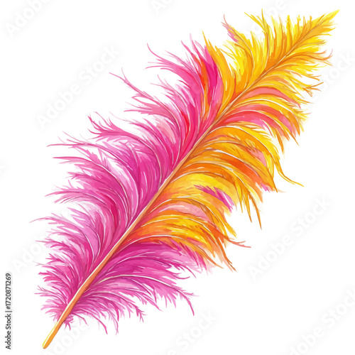 Rio Flamboyant Feathers, watercolor clipart vector, isolated on a white background.