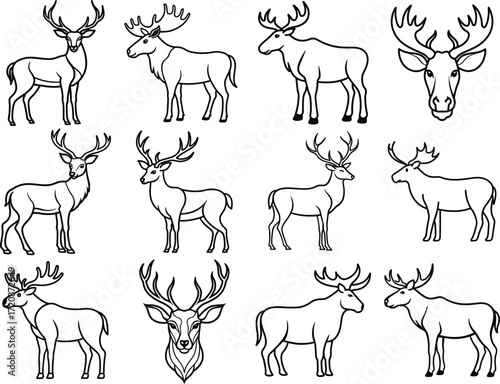 Artistic moose silhouette collection with natural elements